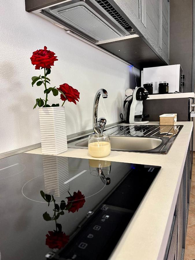 Ca D La Trifola Free Parking Apartment Alba  Exterior photo